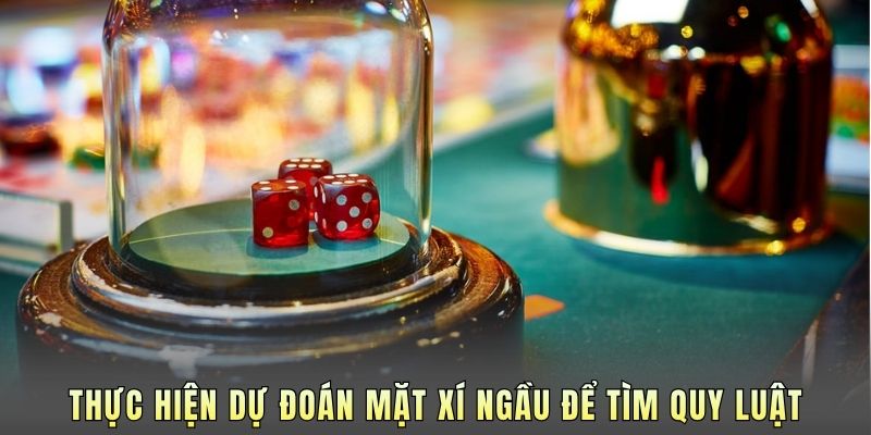 Thực hiện dự đoán mặt xí ngầu để tìm quy luật